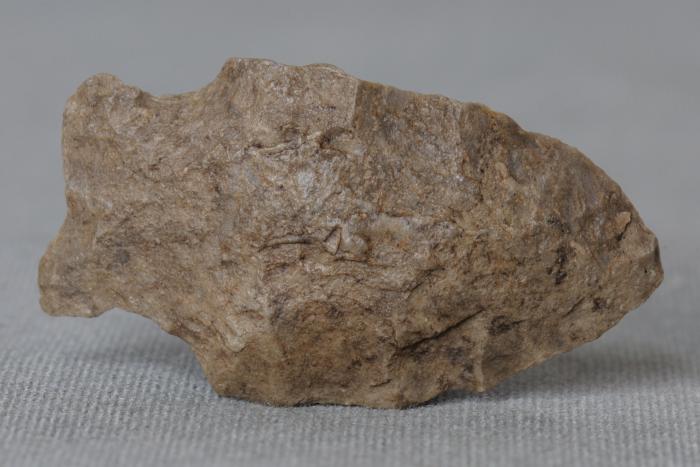 Projectile Point